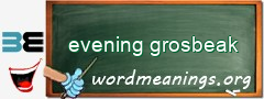 WordMeaning blackboard for evening grosbeak